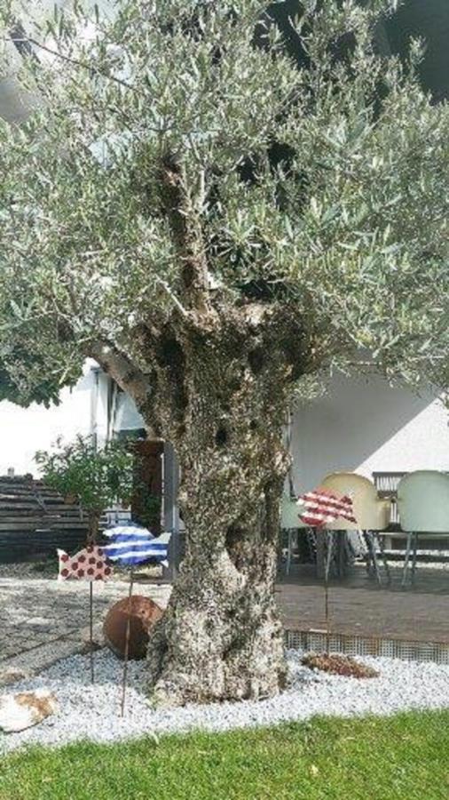 Großheubach Ferienwohnung Familie Buchner מראה חיצוני תמונה
